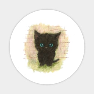 Black cat with blue eyes is sitting there Magnet